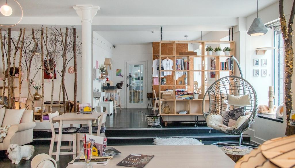 A Budget Guide to Maximilist Interiors