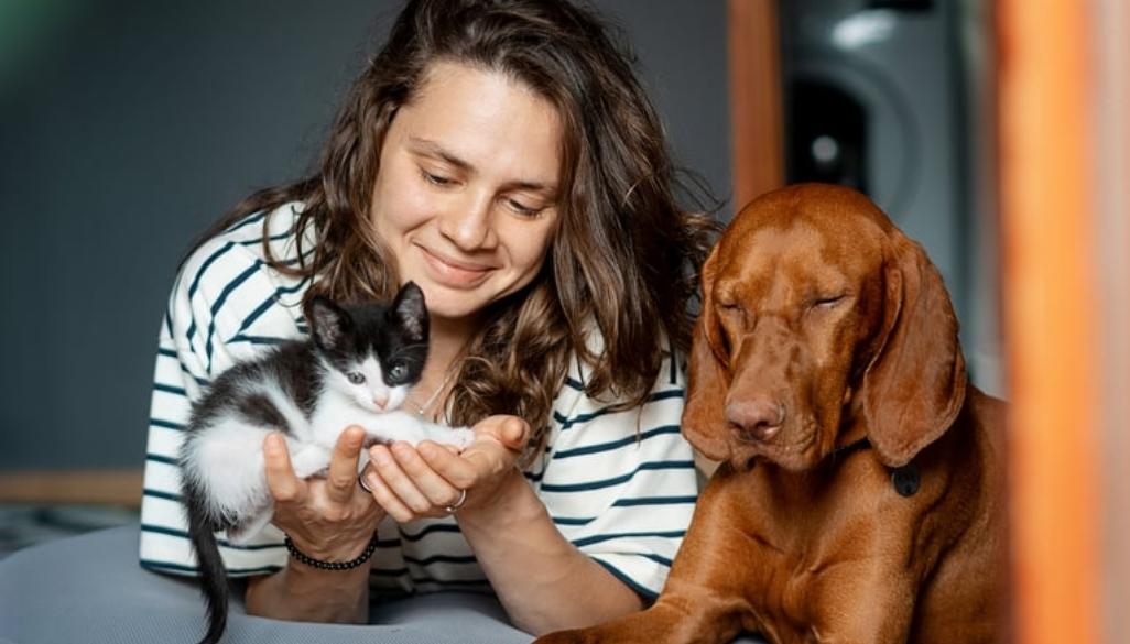 Protecting Your Furry Friends: The Importance of Pet Insurance