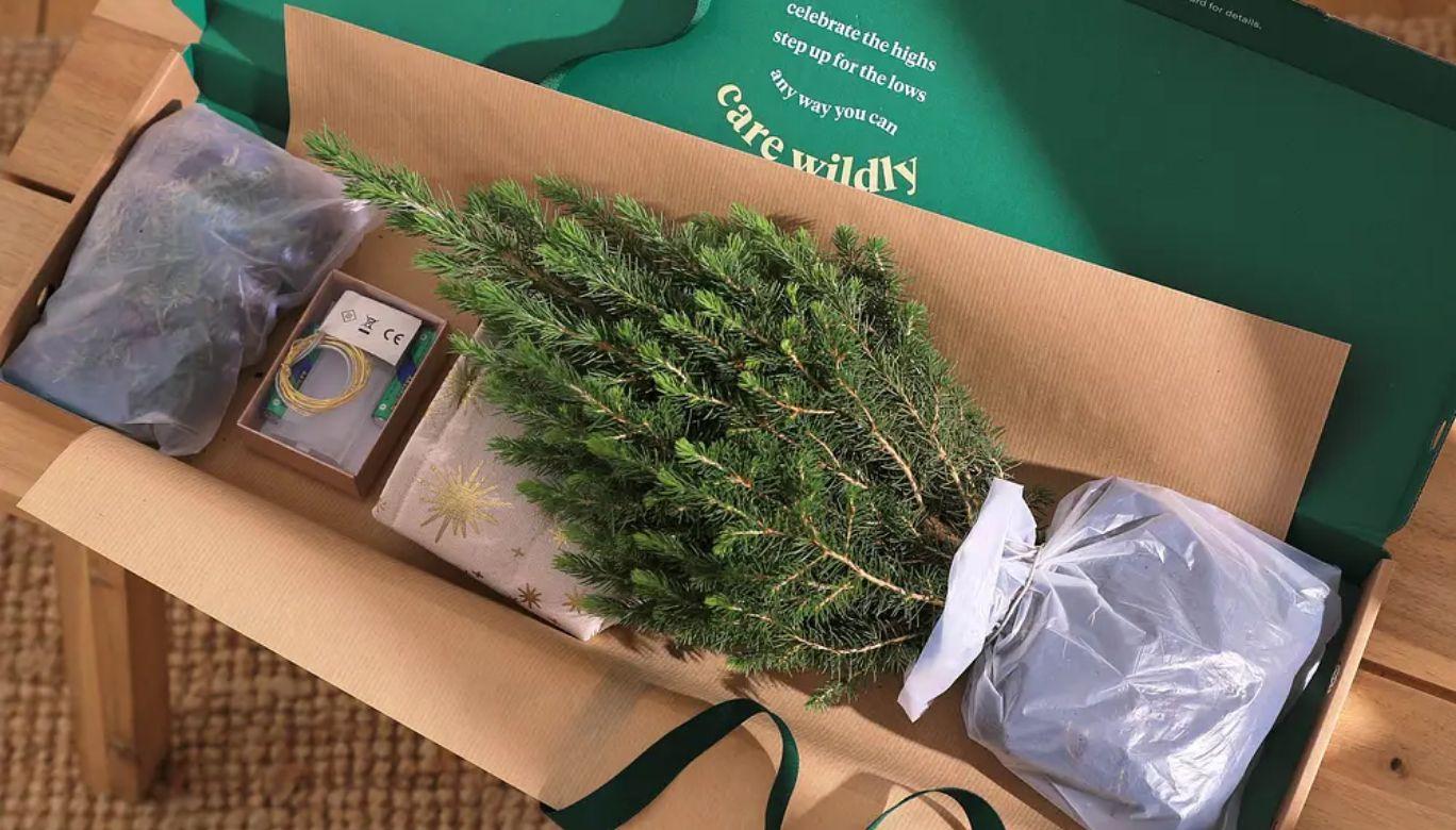 Green Gifts and Flower Power