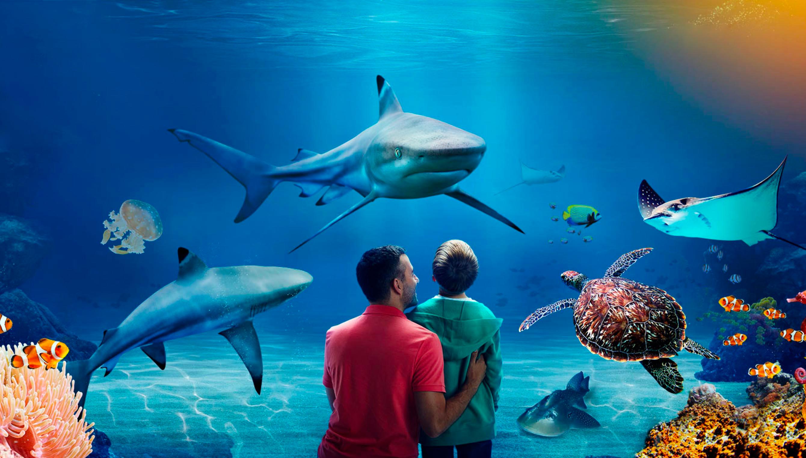 Unveiling the Wonders at SEA LIFE