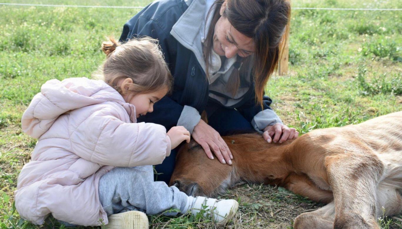 Ece golden paddock: Embracing Personal Growth Through The Energy Of Horses